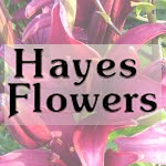 Hayes Flowers Bath PA
